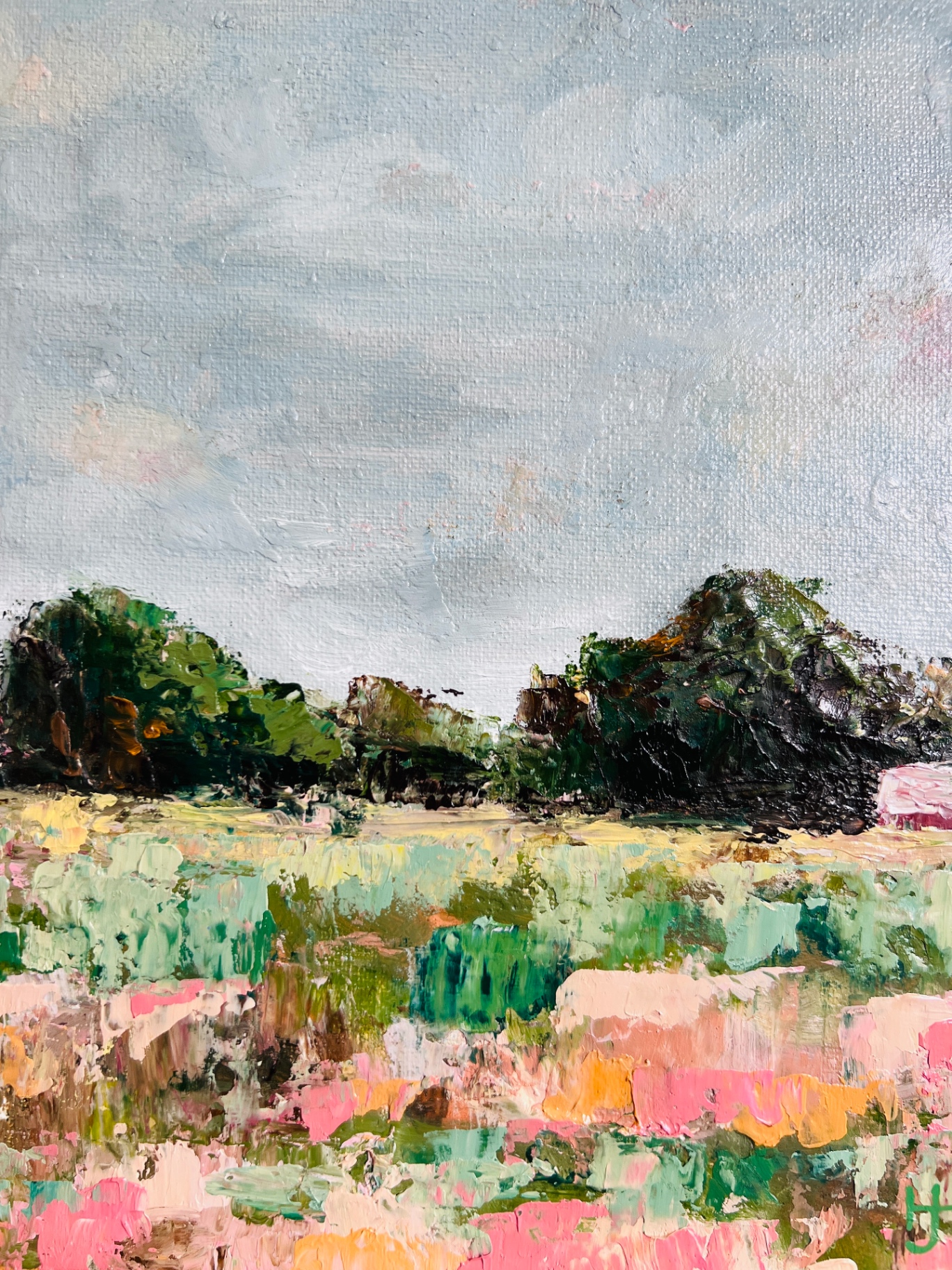 Meadow in Bloom